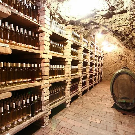 度假居 Chaloupka Vino Sklep U Palecku *
